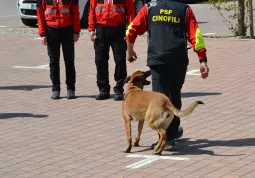 Piccoli volontari Protezione civile e Sai Carabinieri